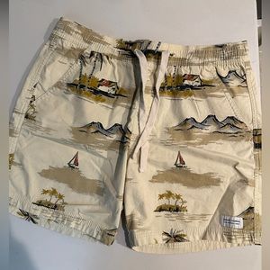 Banks Journel swim trunk with liner